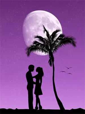 一觉醒来竟和校花结婚